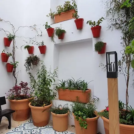 Holiday home La Casa Colores *